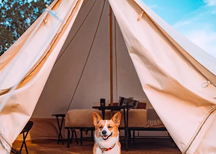 Starlight Glamping Grand Canyon